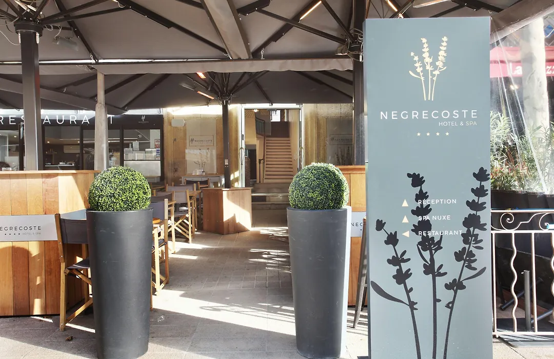 Negrecoste Hôtel&Spa-1